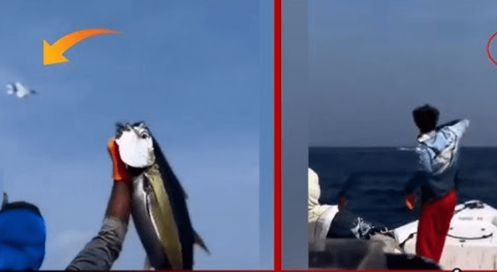 ওমানে হা/ম/লার মাঝেই উল্লাস করে সাগরে মাছ ধরছেন জেলেরা