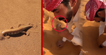 আরবের মরুভূমিতে বালুর মাঝে মিলছে অদ্ভূত ‘মাছ’!