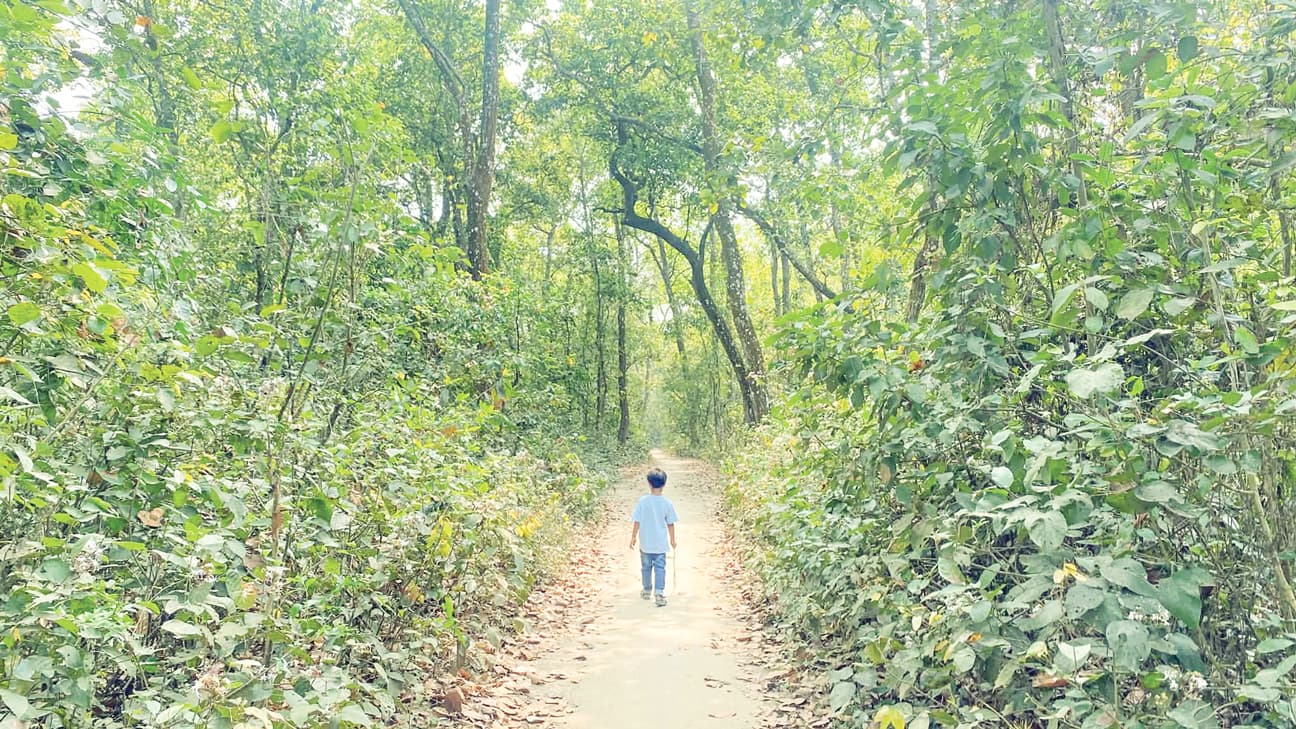 নর্ত নদের তীরে সিংড়া বন