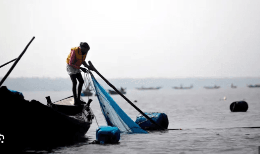 বঙ্গোপসাগরের মাছ চিনতেই ভুল, টেকসই নীল অর্থনীতির বড় বাধা