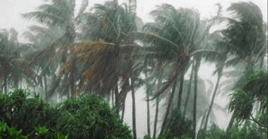 দুপুরের মধ্যে চার অঞ্চলে ঝড়ের আভাস, নদীবন্দরে সতর্ক সংকেত