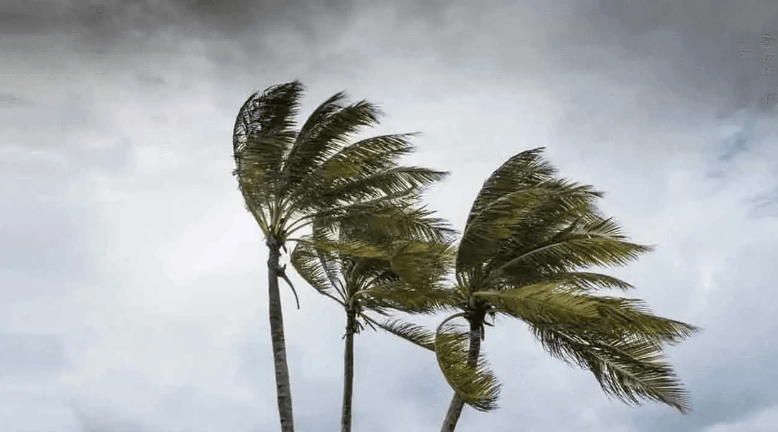 দেশের বিভিন্ন এলাকায় দমকা হাওয়া ও বৃষ্টির পূর্বাভাস, নদীবন্দরে সংকেত